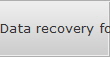 Data recovery for Silver Bow data